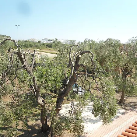 In Pizzomunno Holiday home